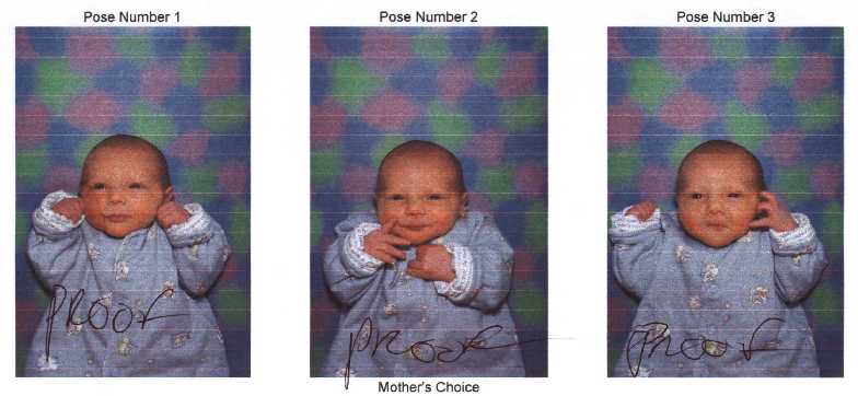 The Official Photo's